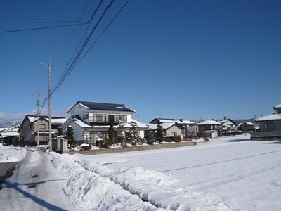 01.jpg