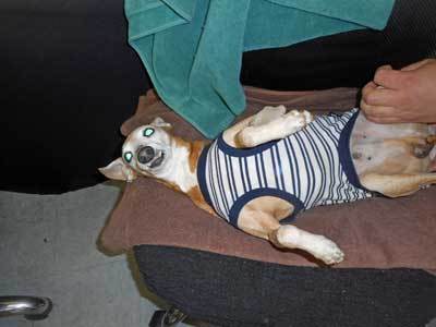 DSCN7408.jpg