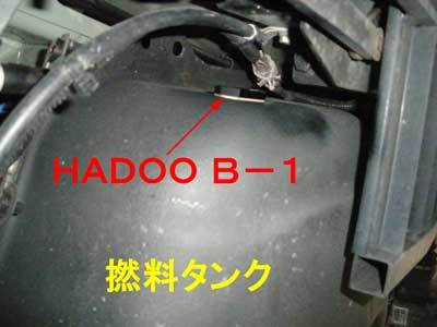 IMGP6149.jpg